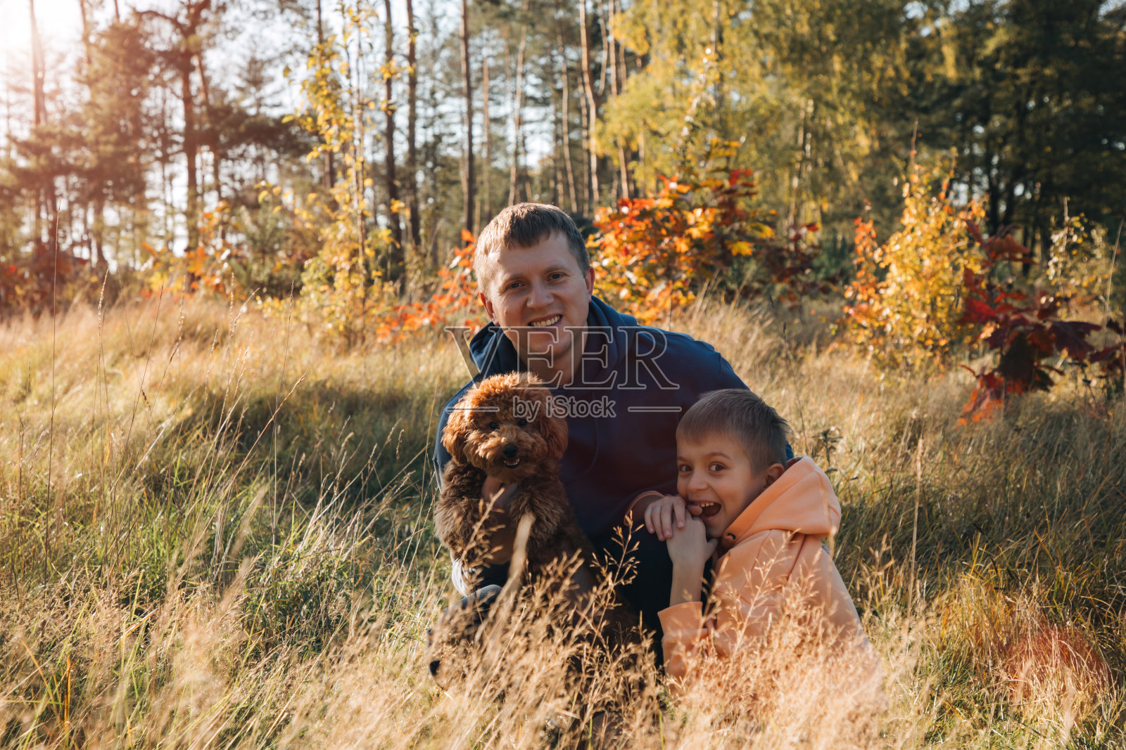 爸爸和他的儿子还有一只棕色的小狗在长着高高的草的草地上玩耍。家庭休闲与宠物在大自然照片摄影图片