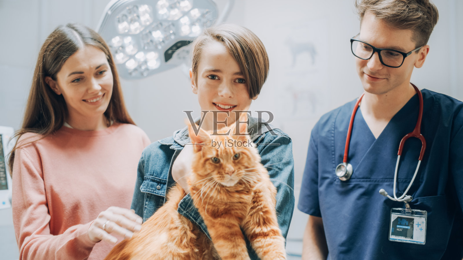 带听诊器的专业动物诊所专家与一个带宠物缅因猫的家庭在现代医学兽医诊所设施中与电脑和诊断设备合影照片摄影图片