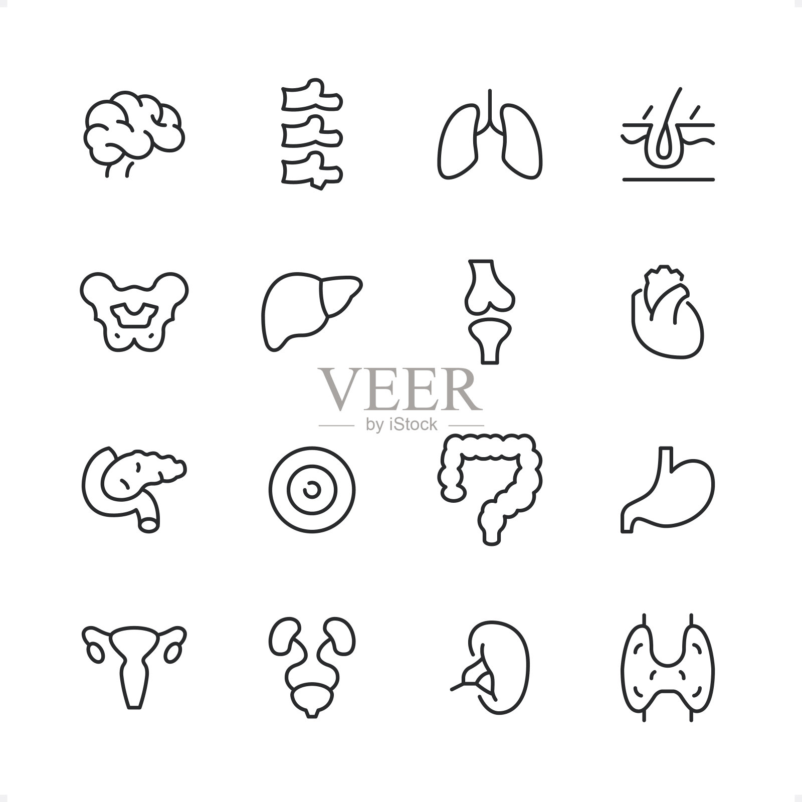 内部器官-像素完美的线图标设置,可编辑笔画重量。图标素材