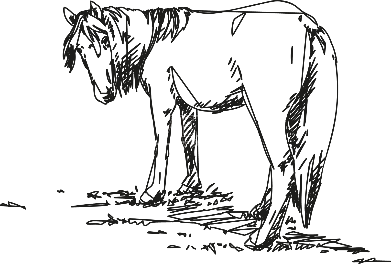 长鬃毛马的抽象线条素描设计元素图片