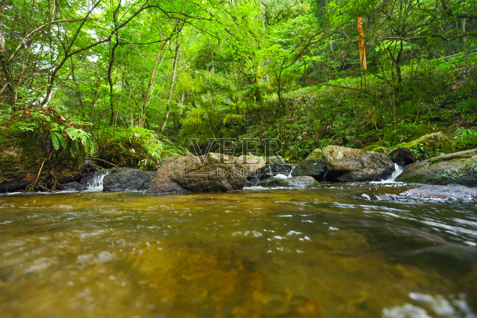 夏天流过岩屋堂公园的山涧潺潺声。照片摄影图片