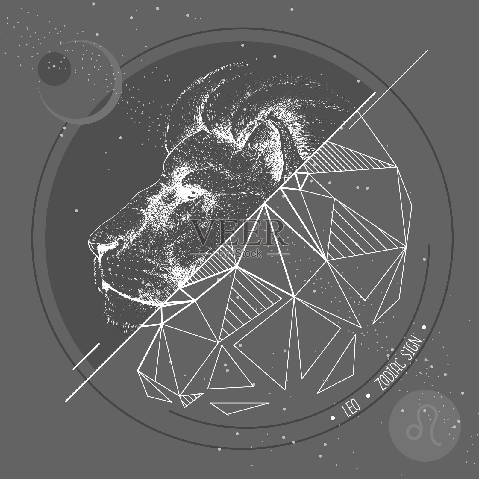 逼真的手绘和多边形狮子头插画图片素材