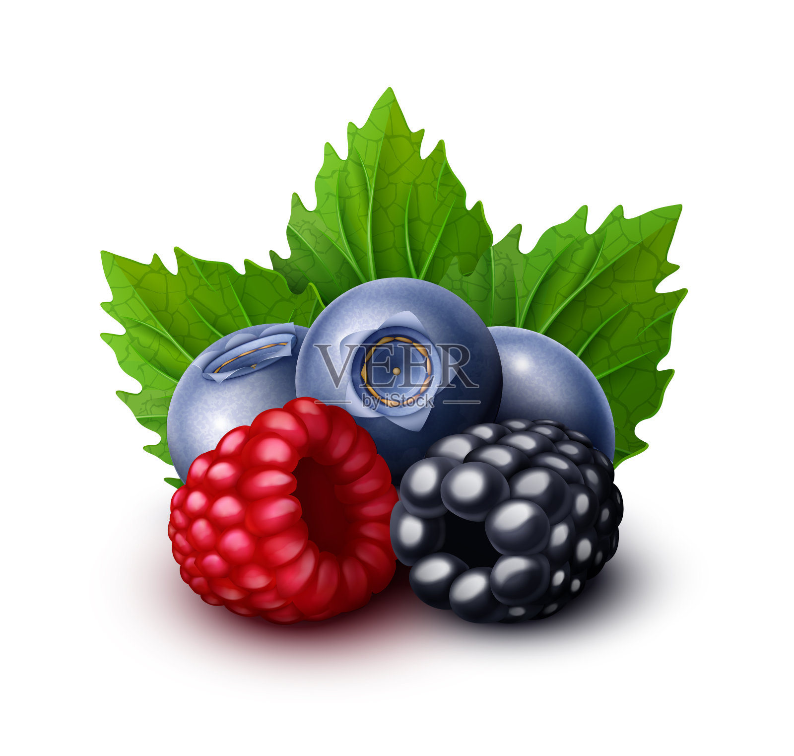覆盆子,黑莓,蓝莓甜莓混合插画图片素材