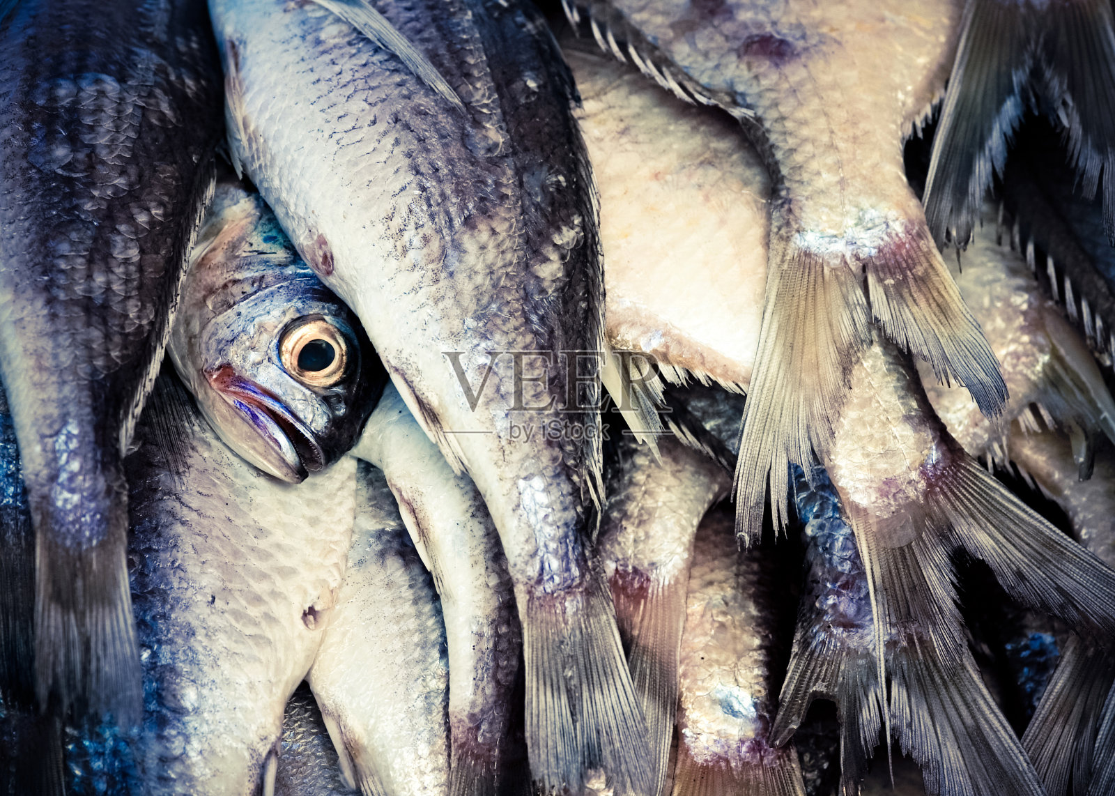 街市鲜鱼照片摄影图片