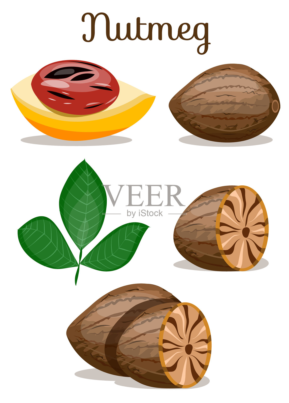 设置坚果插画图片素材