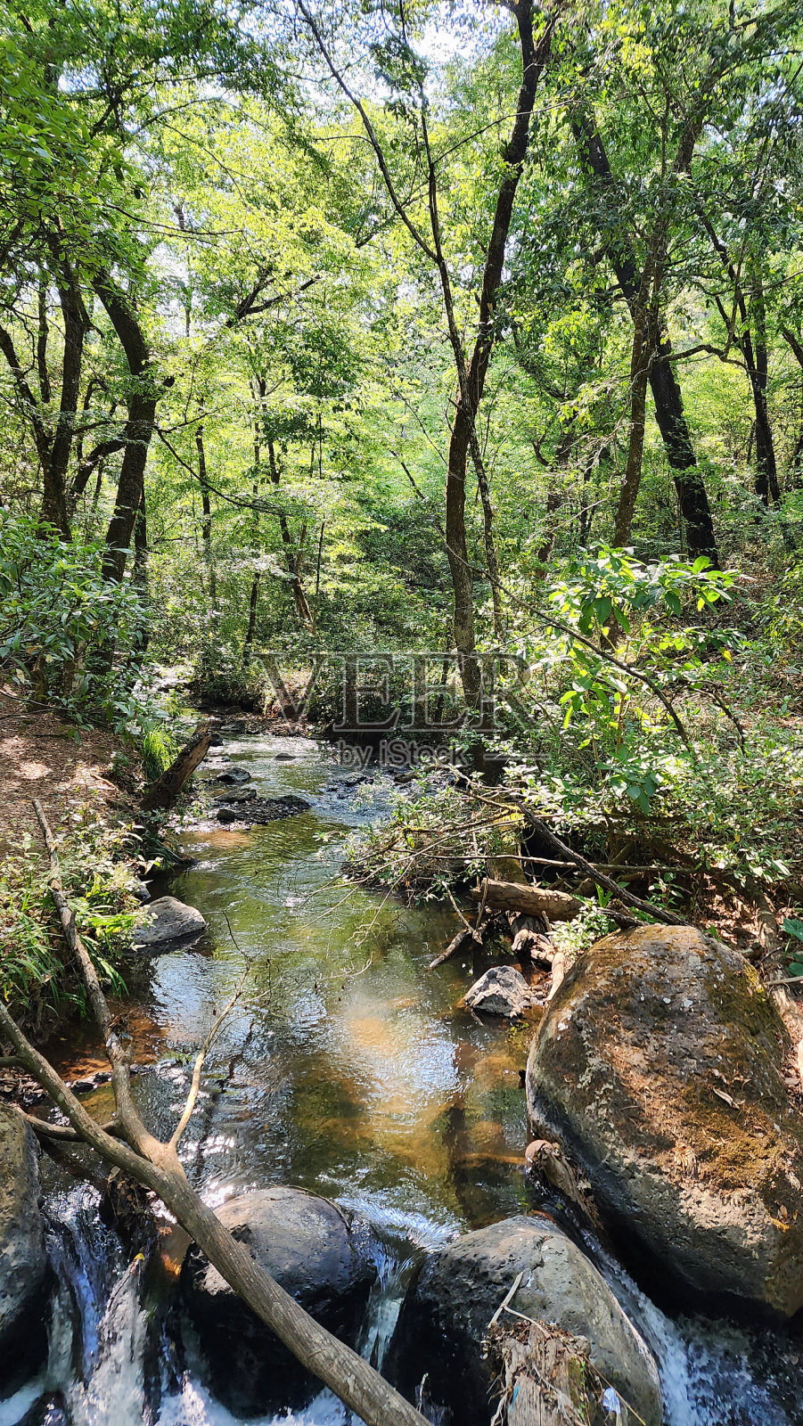 墨西哥的旅游和自然旅游照片摄影图片