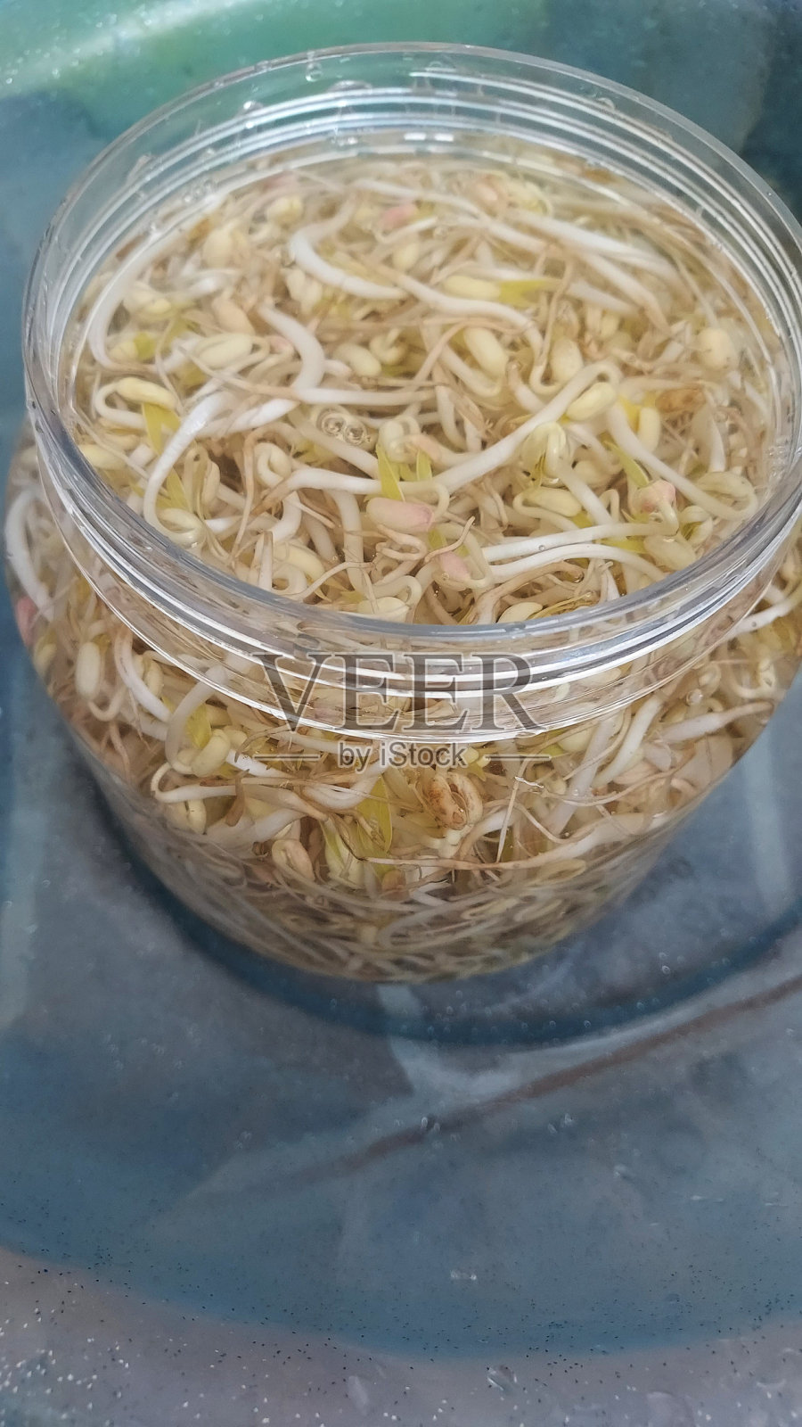 豆芽照片摄影图片