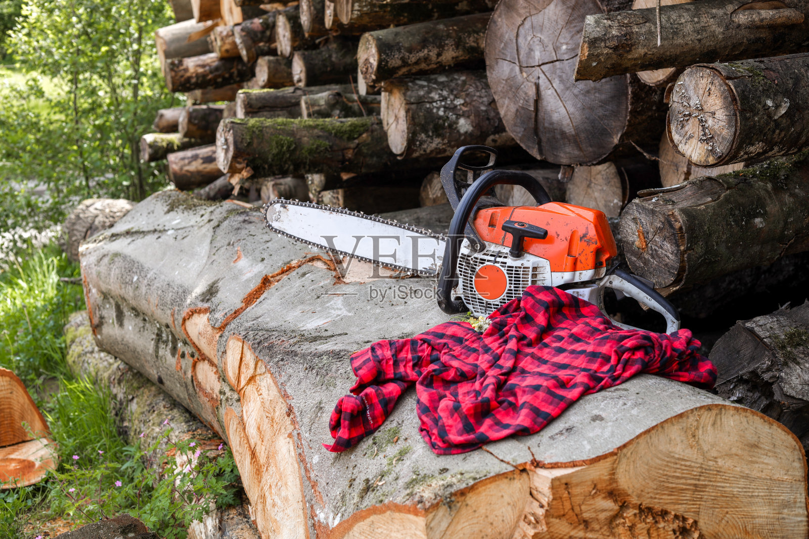 在户外伐木工林场用链锯伐木照片摄影图片