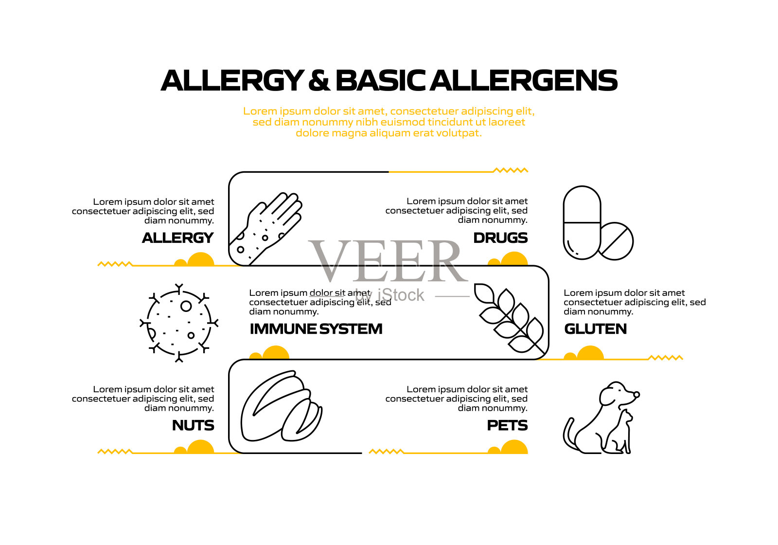 过敏和基本过敏原相关过程信息图表模板。过程时间图。带有线性图标的工作流布局插画图片素材