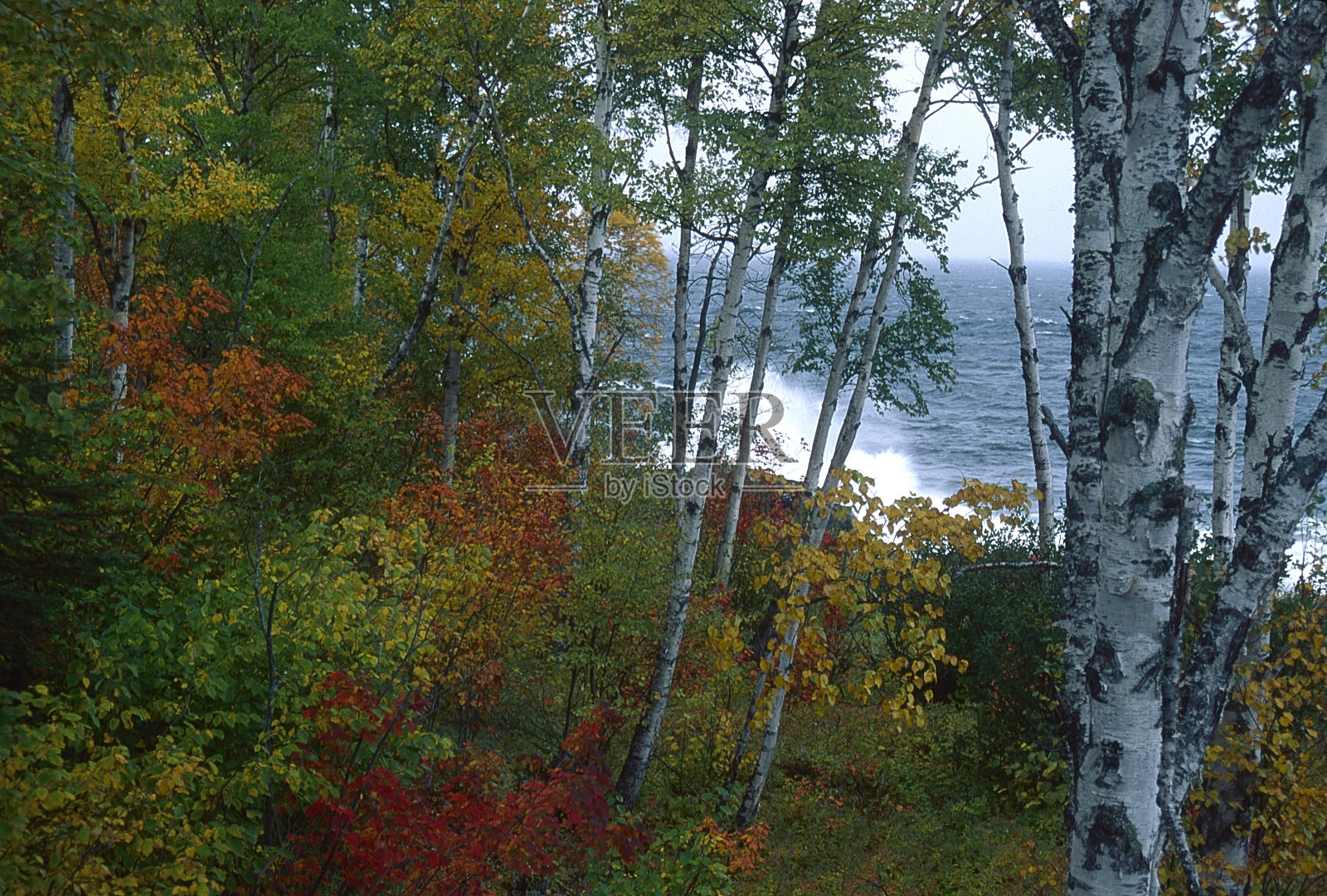明尼苏达州苏必利尔湖北岸照片摄影图片