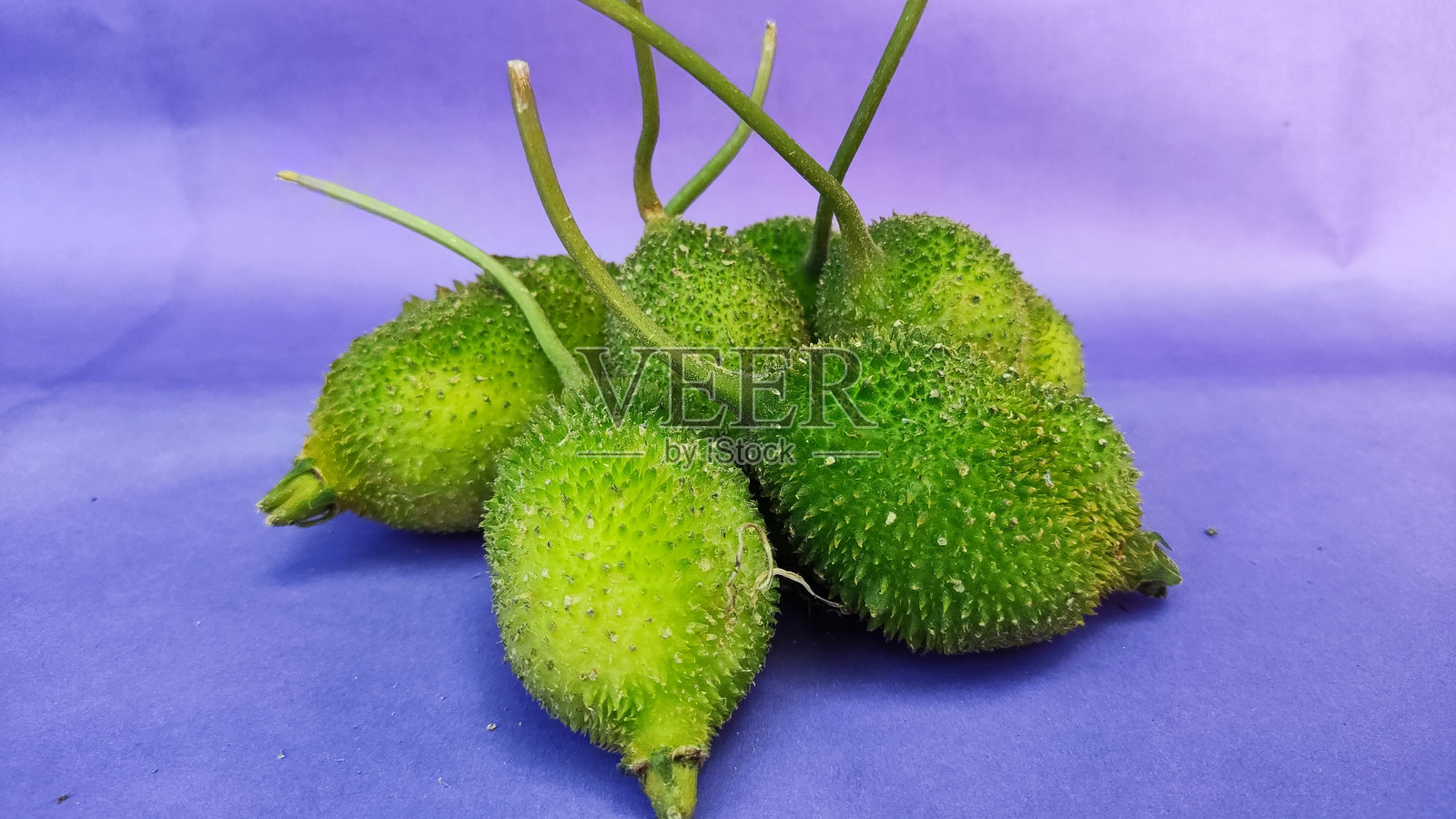 苦瓜:一种厨房蔬菜照片摄影图片