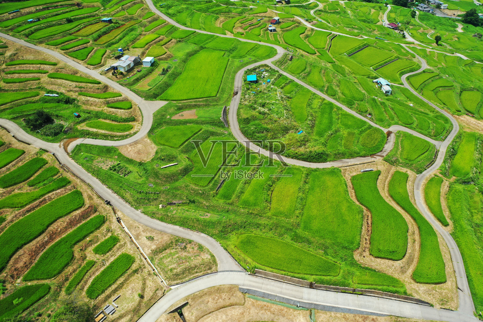 奥巴苏梯田照片摄影图片