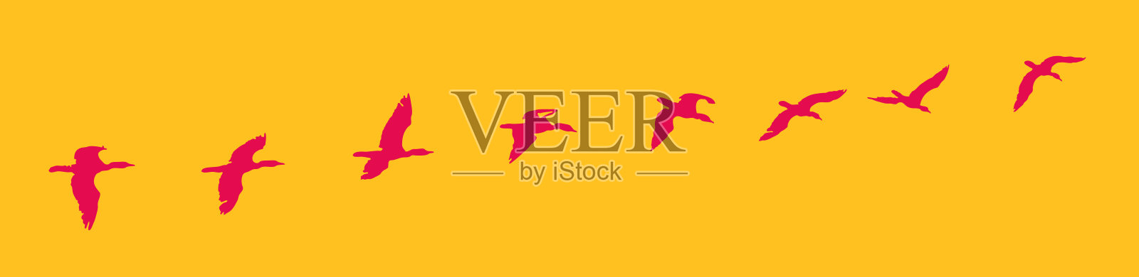 鸬鹚飞行时的连续镜头插画图片素材