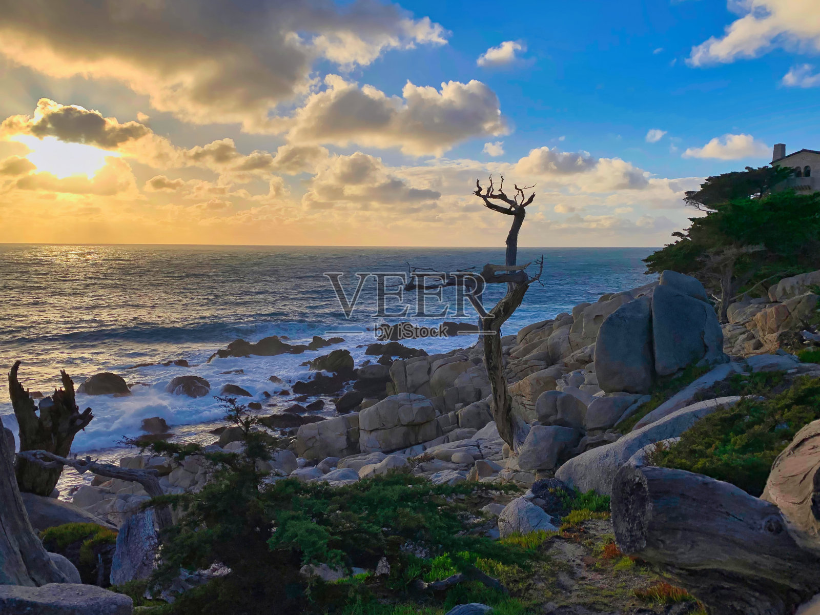 17英里大道的景观和枯树照片摄影图片