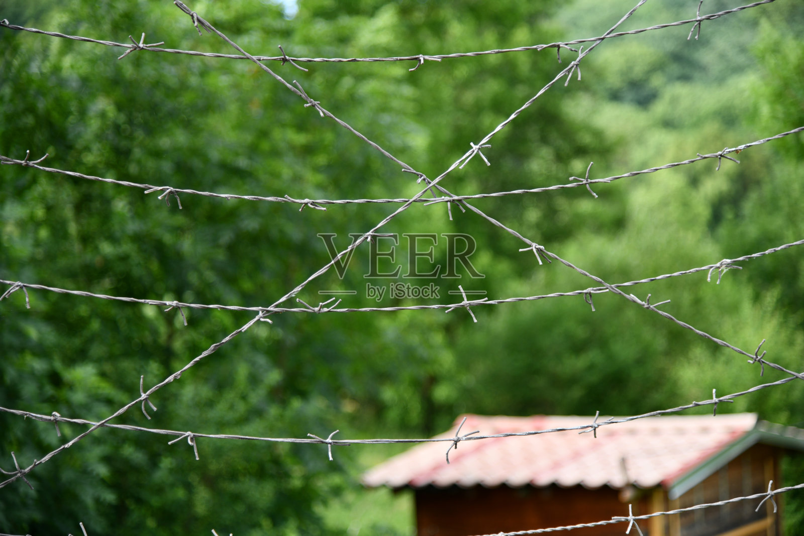 用带刺铁丝做成的边境围栏照片摄影图片