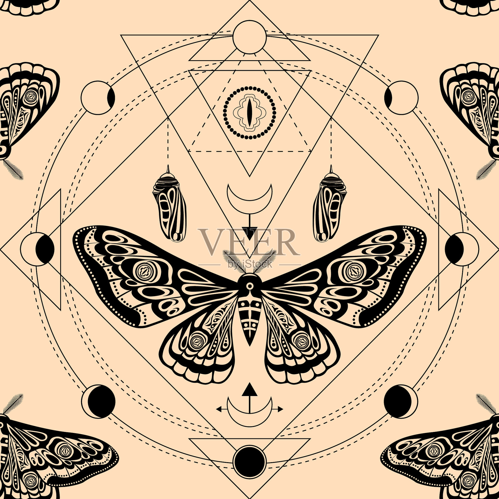 夜蛾蝶蛹神几何插画图片素材