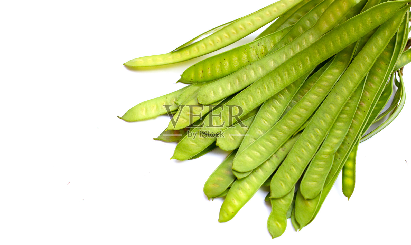 白色背景上的银合欢分离果照片摄影图片