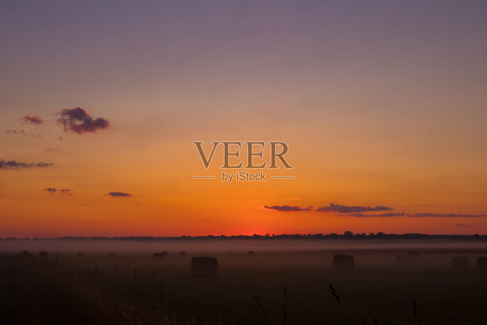 金色宁静:夏日清晨干草草地上的幸福照片摄影图片