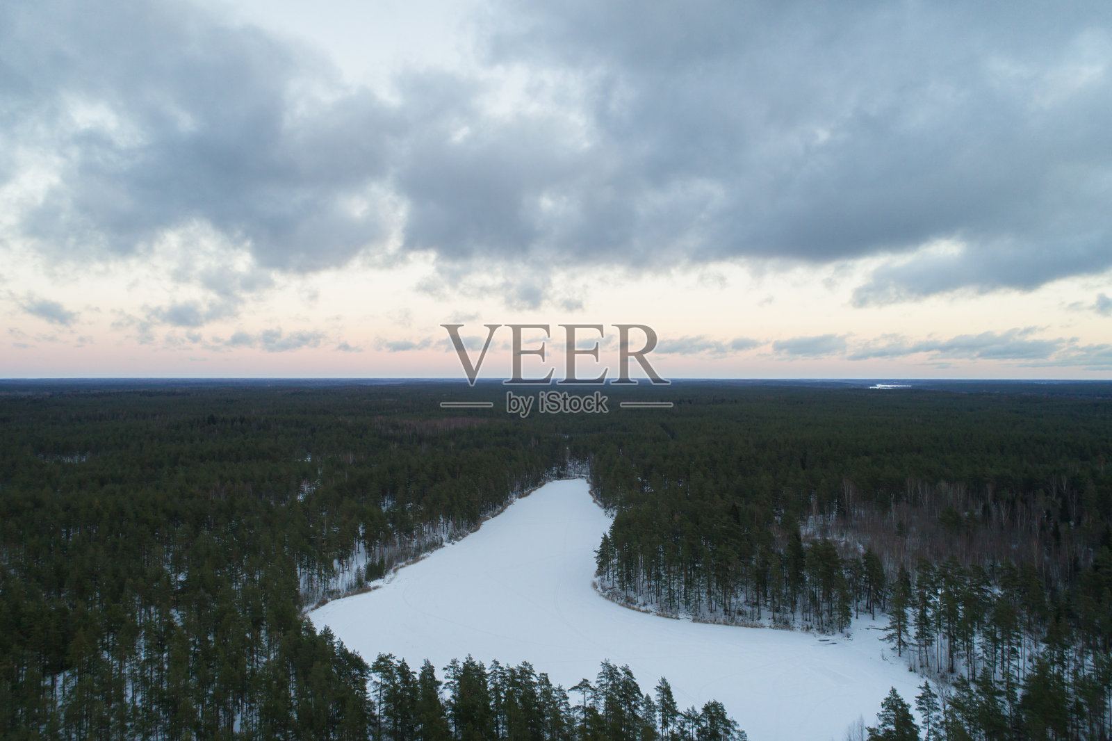 日落后的黑暗夜晚,冬季松林上空的空中爬升飞行照片摄影图片