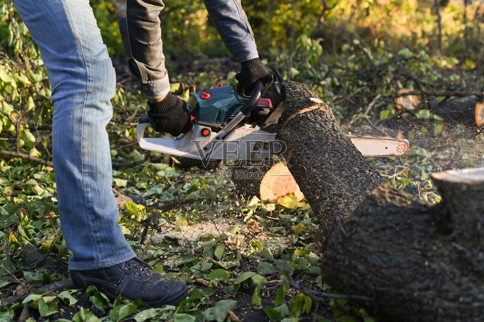 用链锯把木头锯成圆木。照片摄影图片