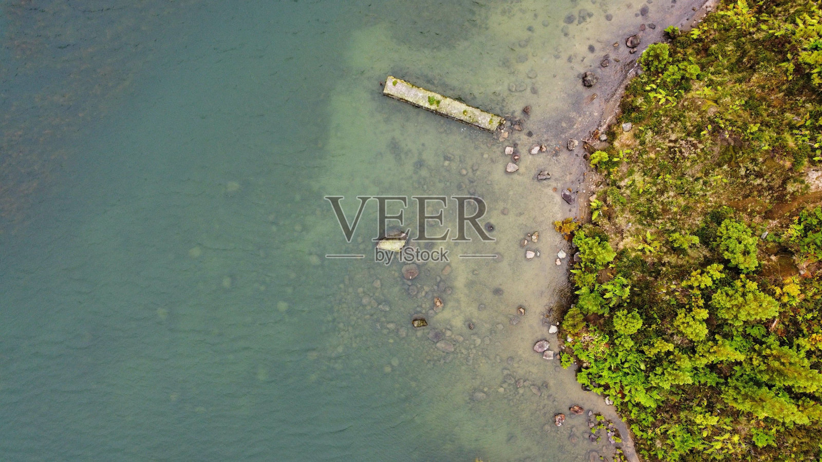 水边一些树木和岩石的鸟瞰图照片摄影图片