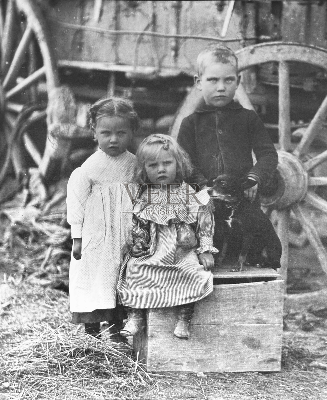 三个摩门教徒的孩子坐在马车旁插画图片素材