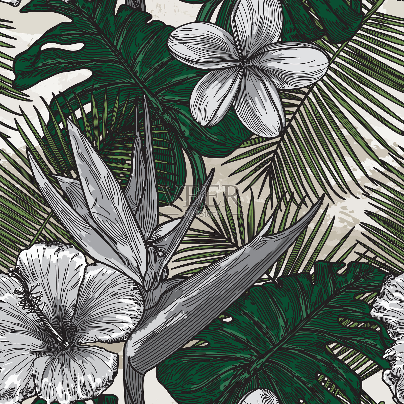 现代热带花卉图案插画图片素材