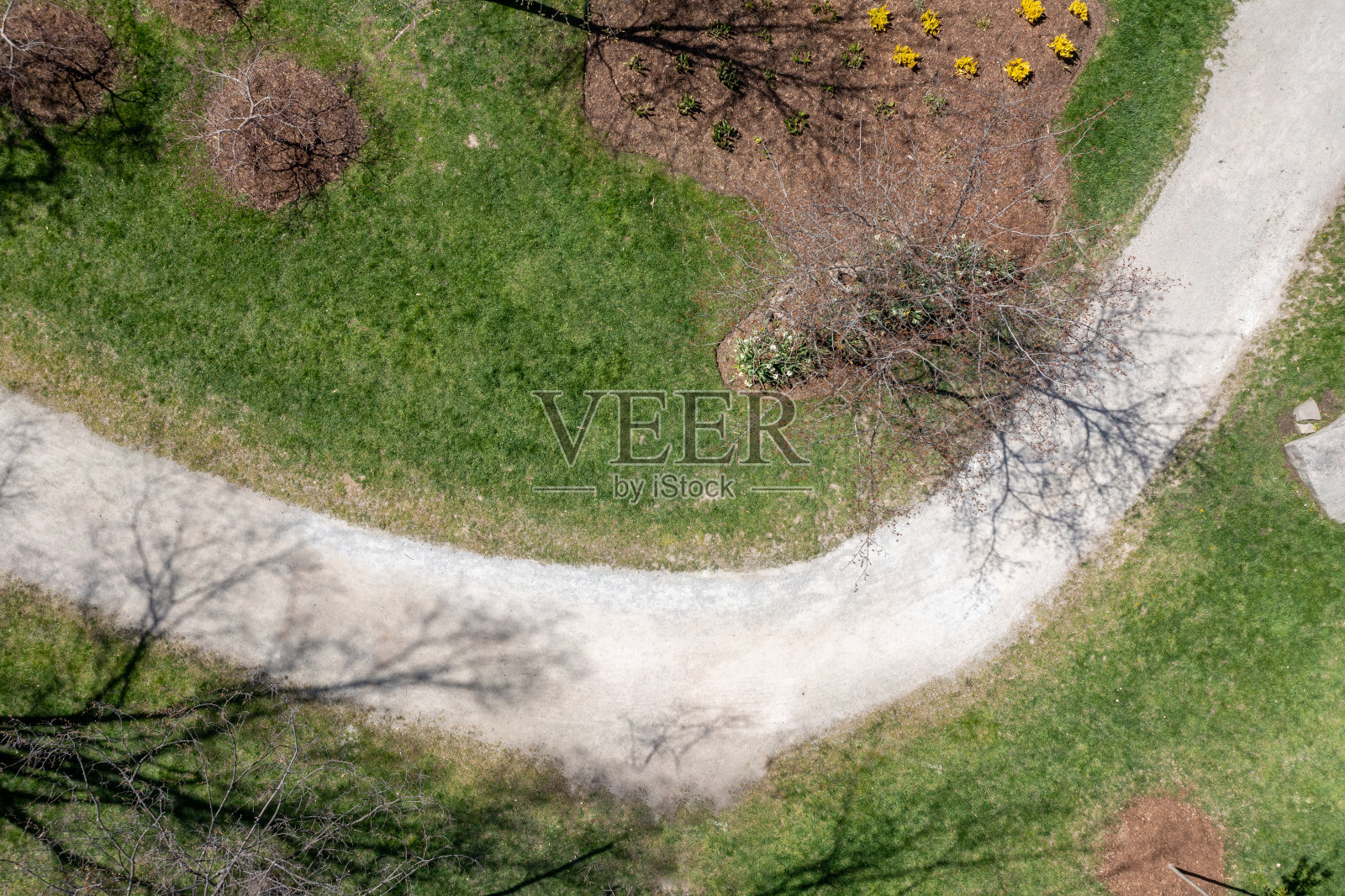 鸟瞰樱花在卡里亚公园,密西索加,加拿大照片摄影图片