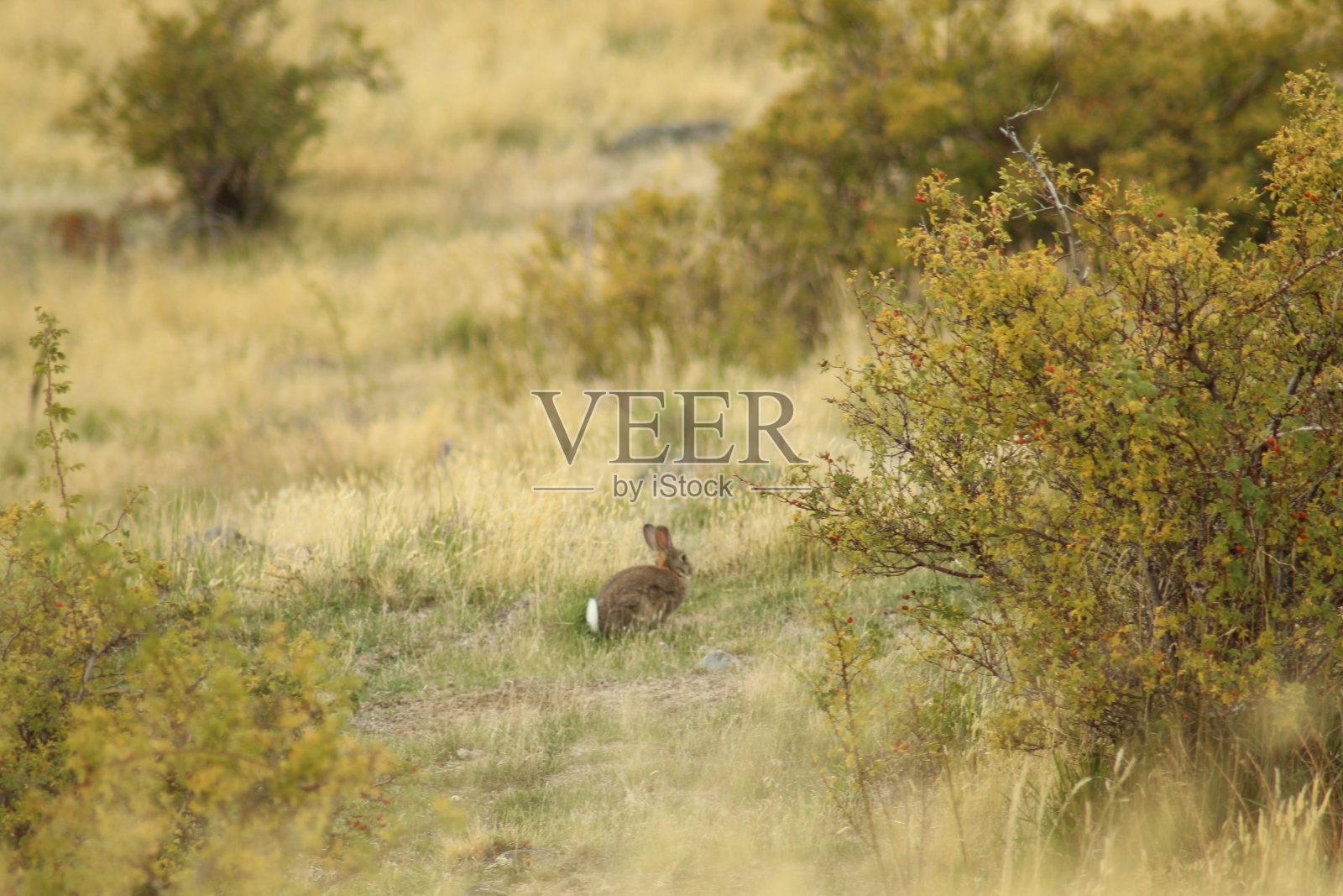 到照片摄影图片