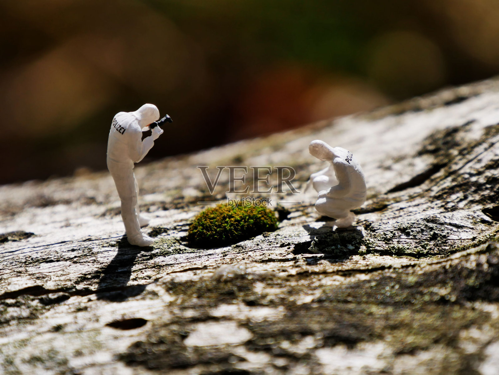 一群微型人物坐在一棵倒下的树干上,周围是茂密的苔藓和树叶照片摄影图片