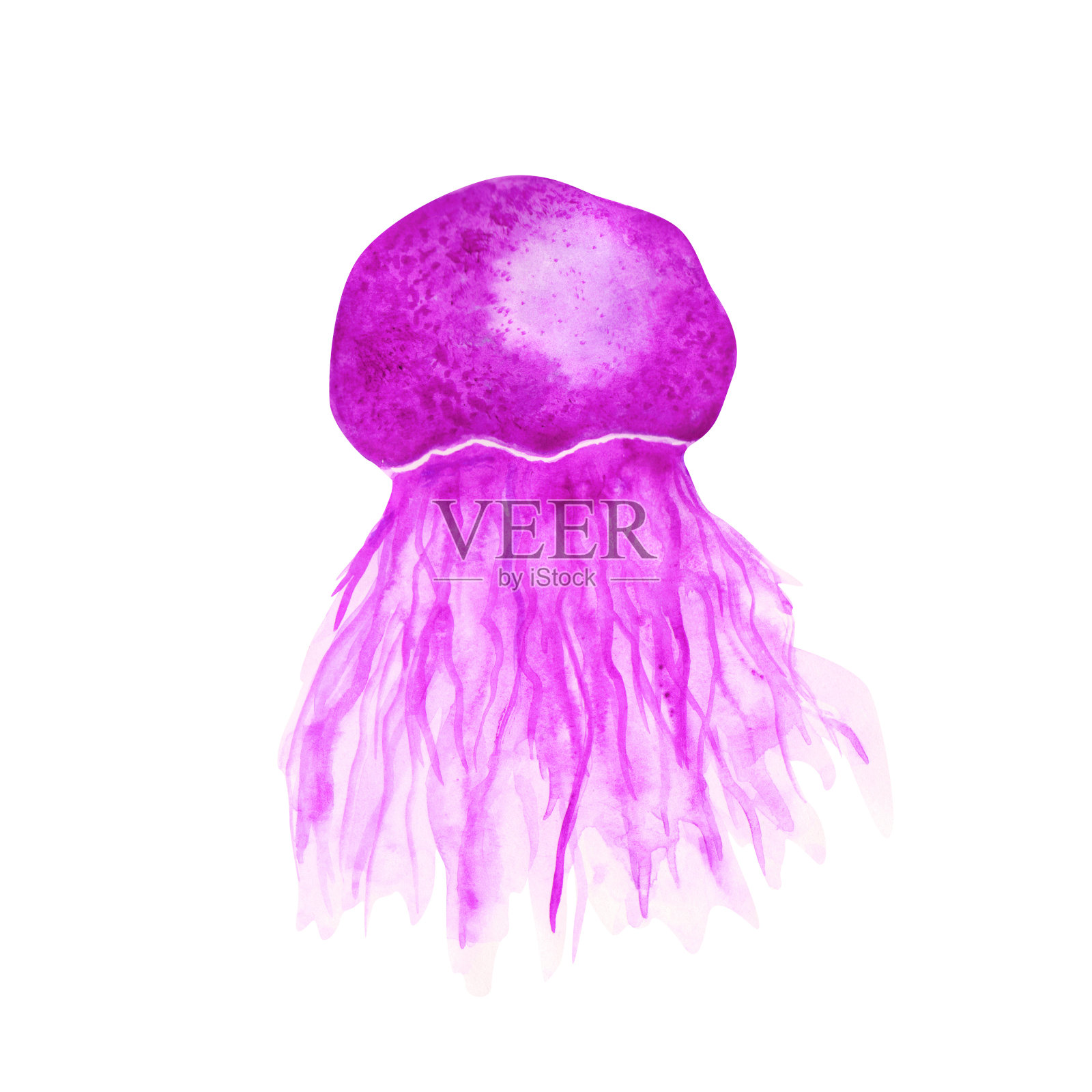 水彩水母孤立在白色的背景。手绘紫色美杜莎插图。水下野生动物剪贴画。水母打印。可爱的海洋动物艺术。插画图片素材