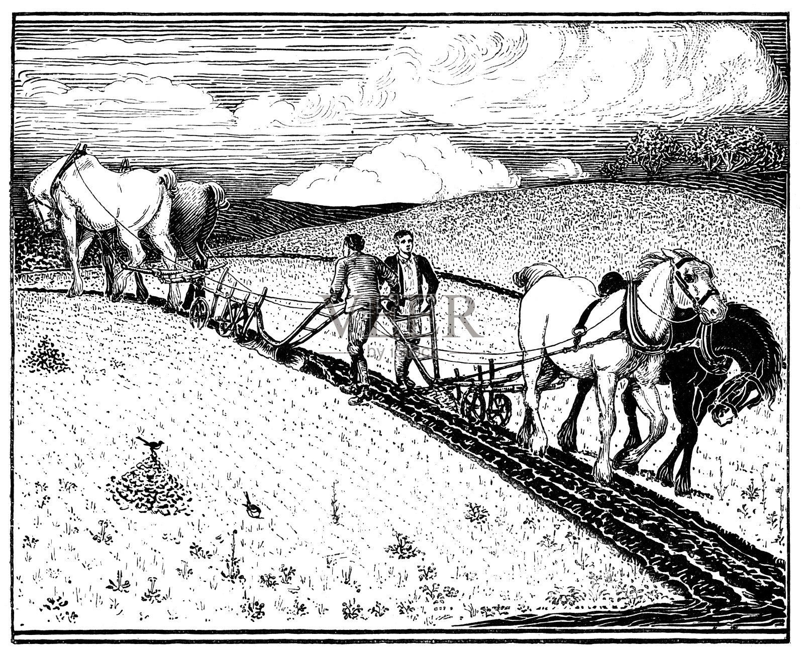 耕地领域插画图片素材