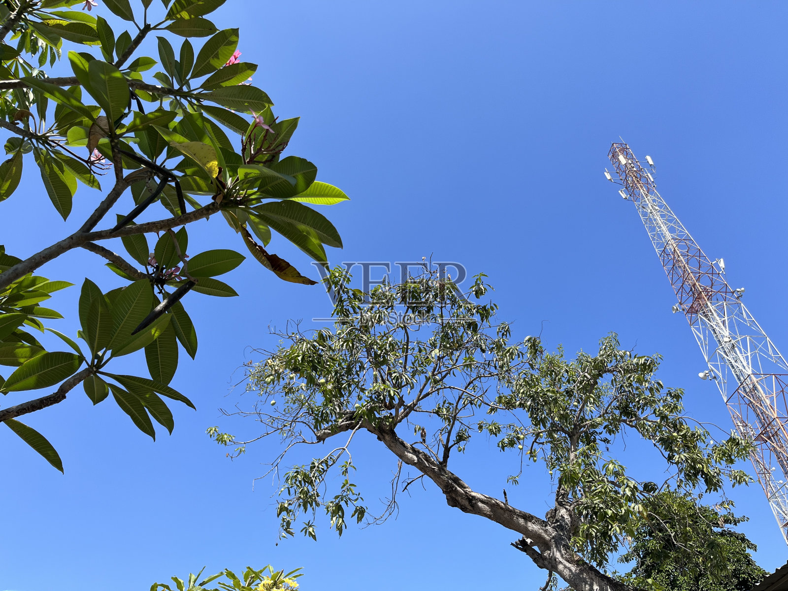 美丽的景色照片摄影图片