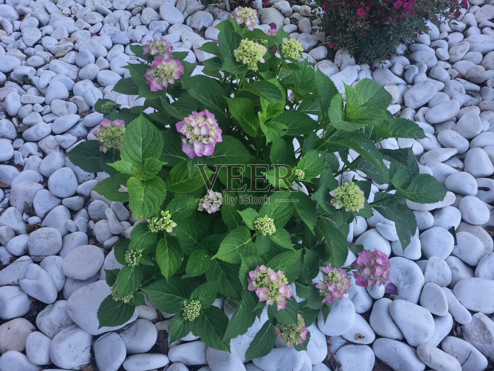 街景建筑景观村康斯坦丁诺沃梁赞区照片摄影图片