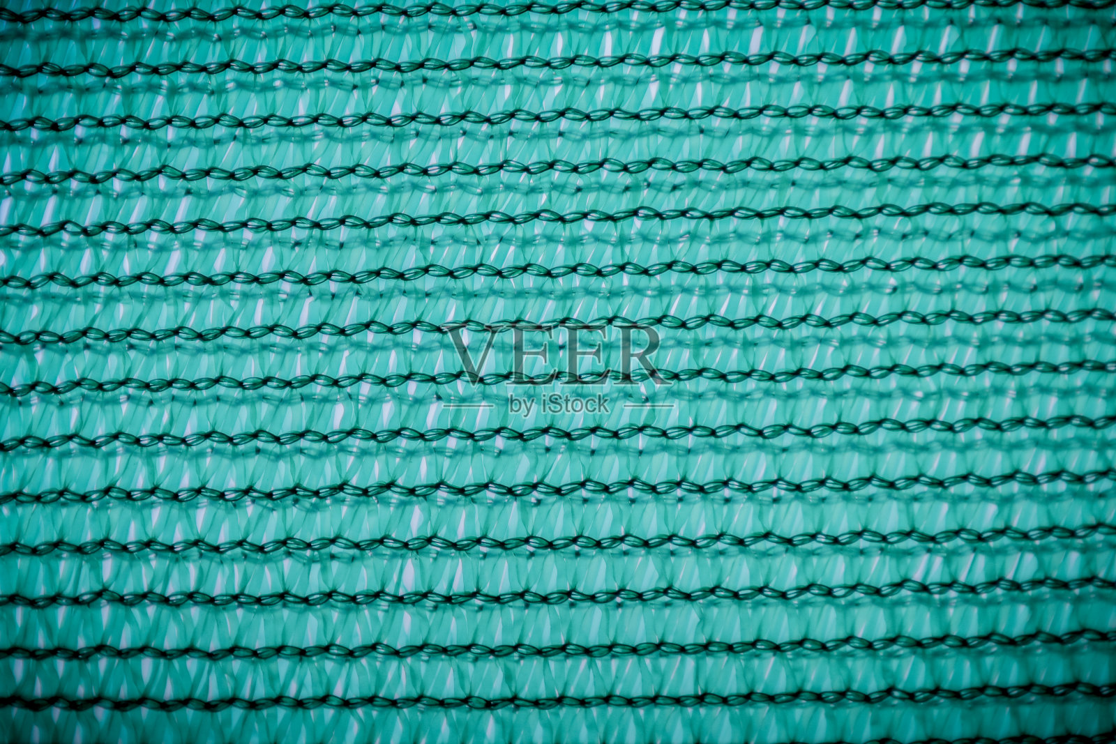 绿网的近景照片摄影图片