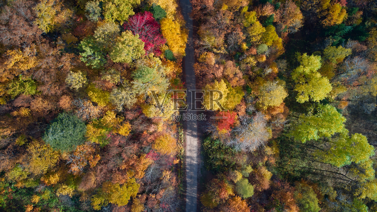 秋天落叶的航拍照片照片摄影图片