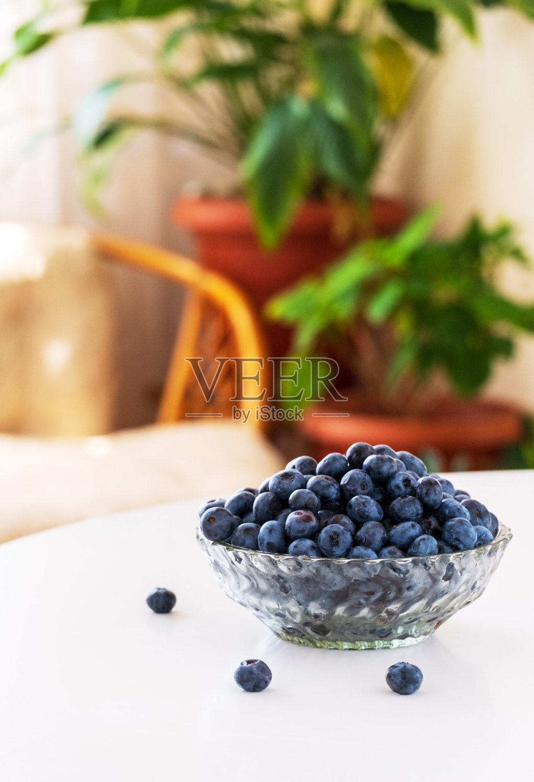 白桌子上的老式玻璃盘里装着蓝莓。照片摄影图片