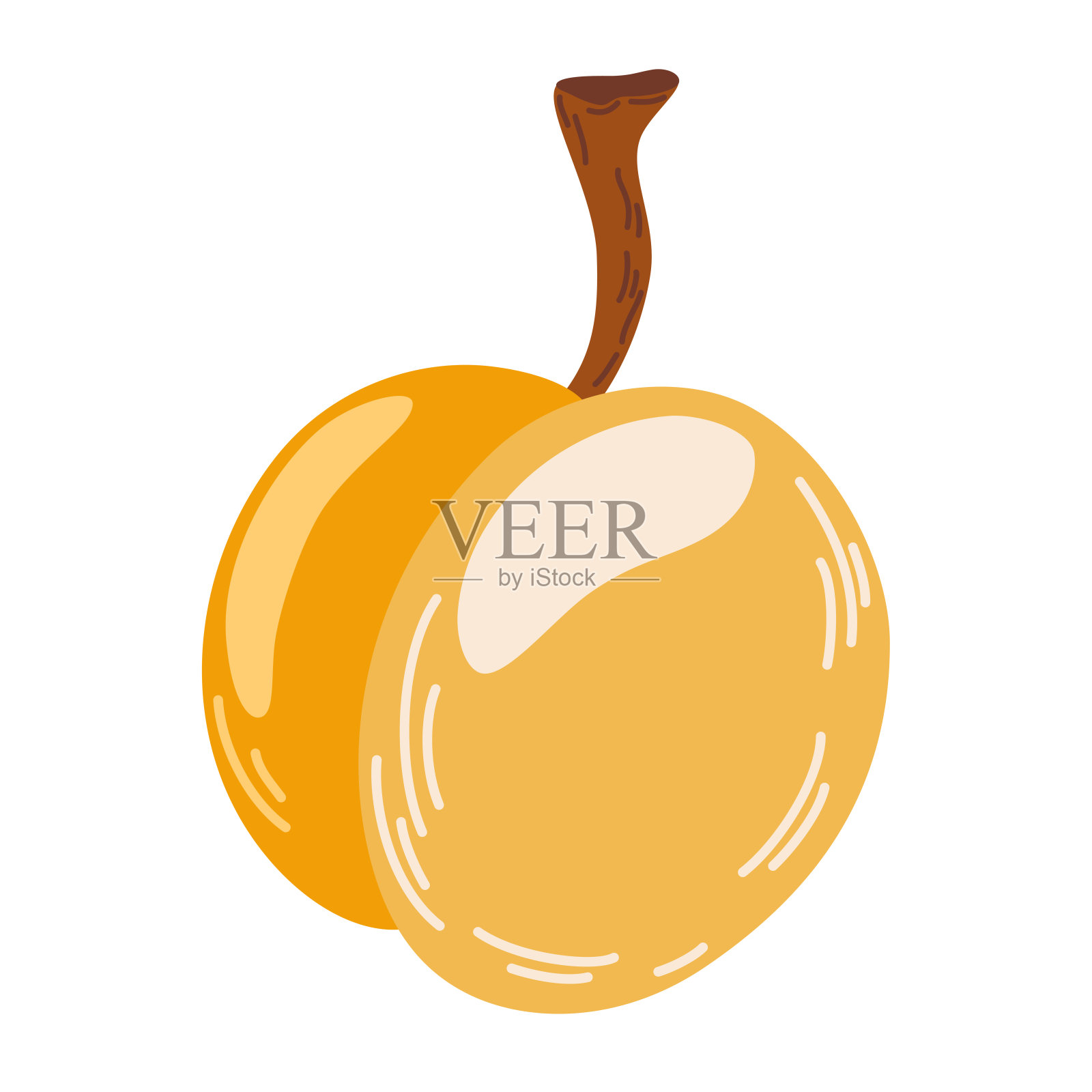 杏子,成熟园林植物,带茎和果仁,整半片。多汁天然健康农场水果,有机生产。矢量卡通插图孤立在白色背景插画图片素材