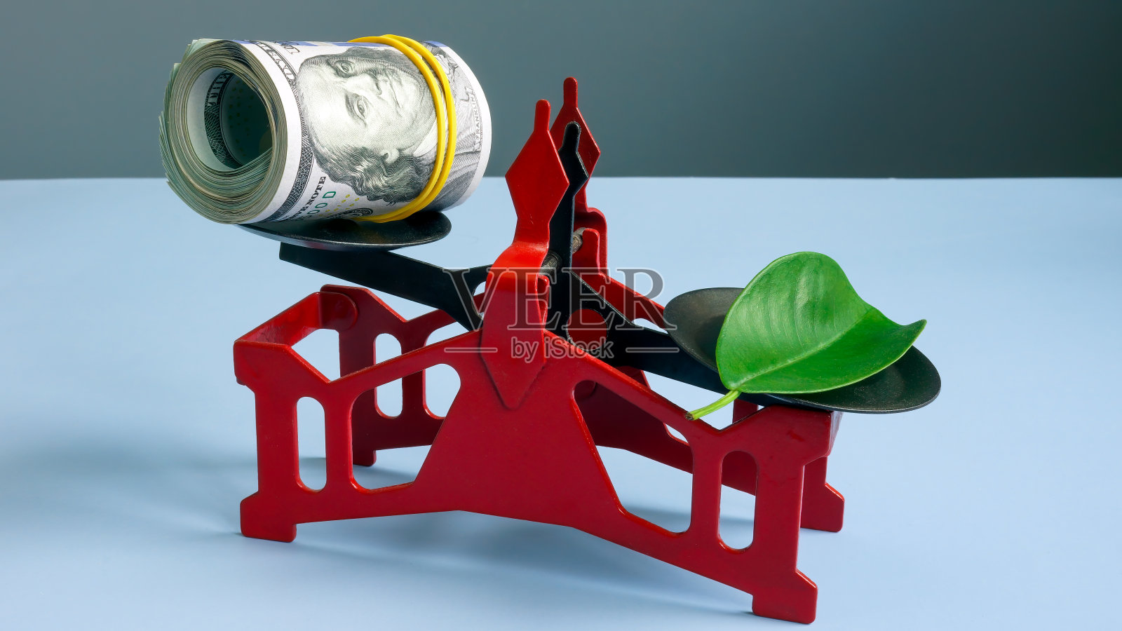 环境、社会和治理的概念。鳞片,一捆钱和一片绿叶。照片摄影图片