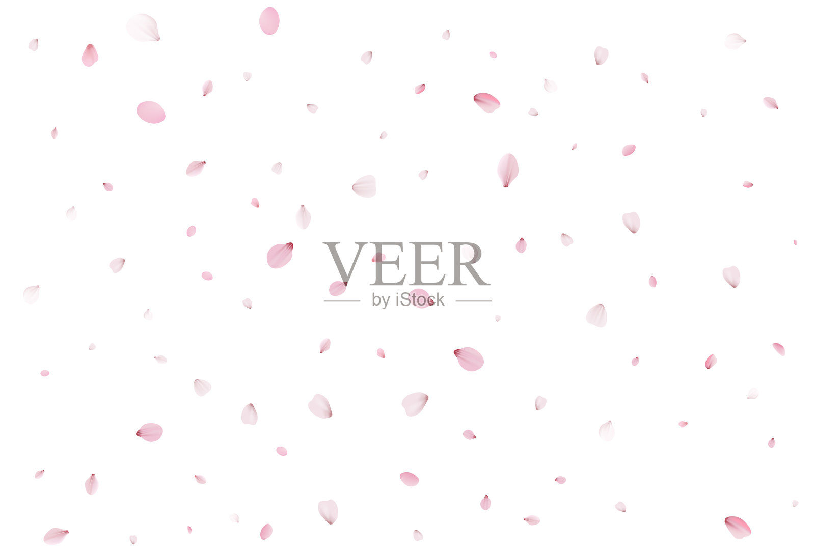 樱花花瓣飞扬,浪漫背景。插画图片素材