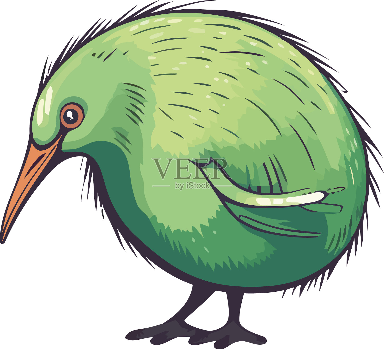 欢乐的几维鸟吉祥物绿色设计元素图片