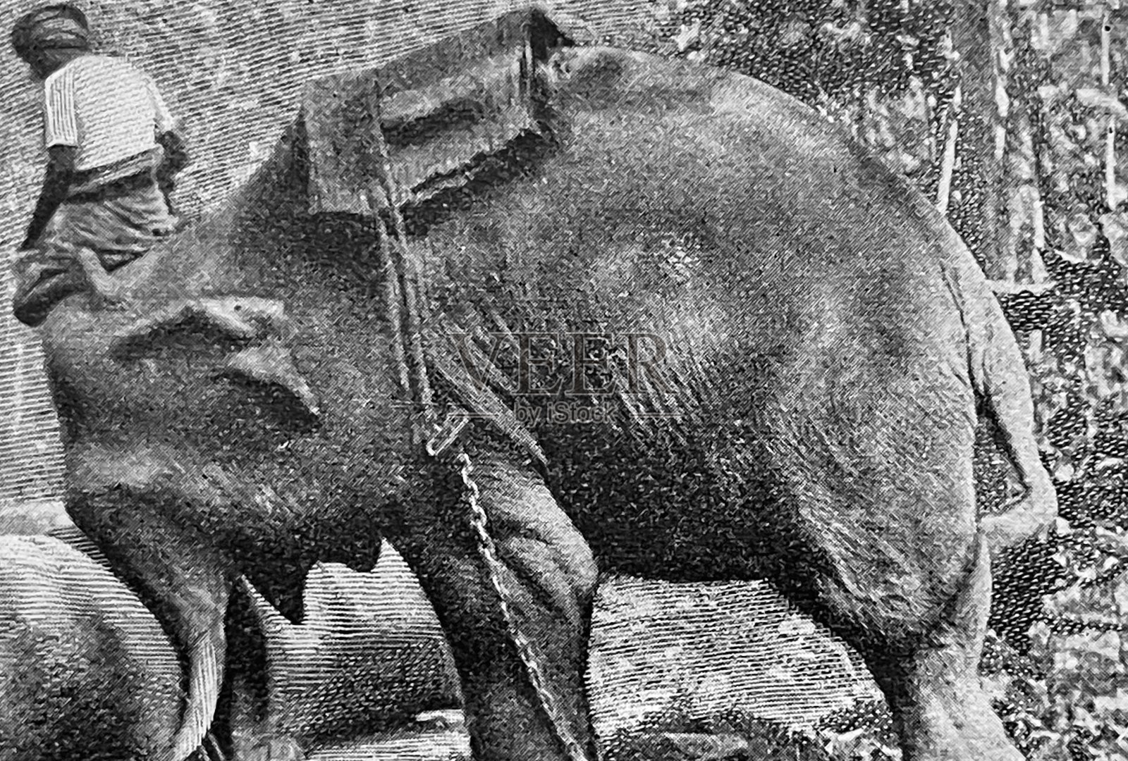 大象的工作插画图片素材