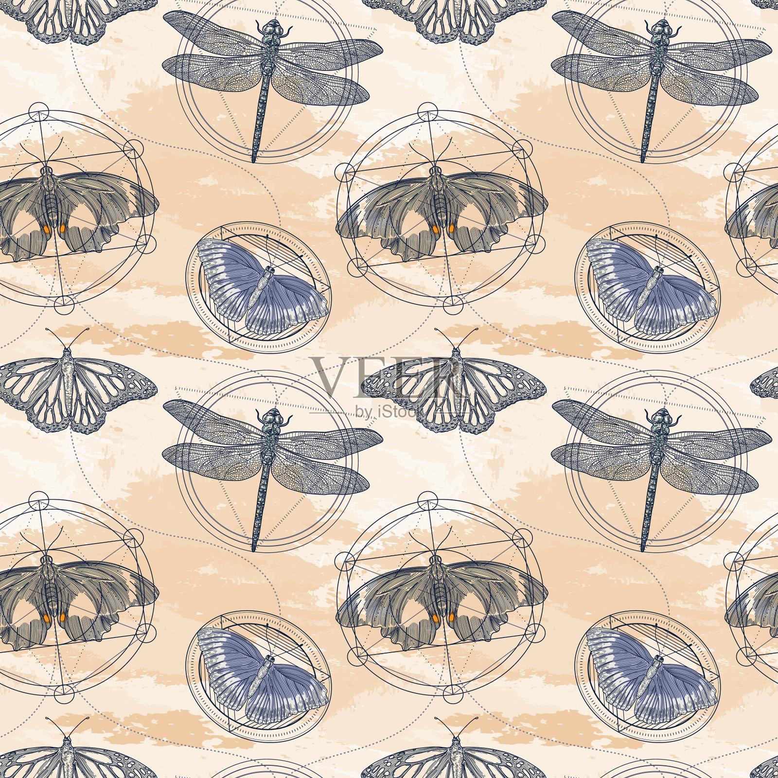 蛾,蝴蝶和蜻蜓神圣几何无缝图案插画图片素材