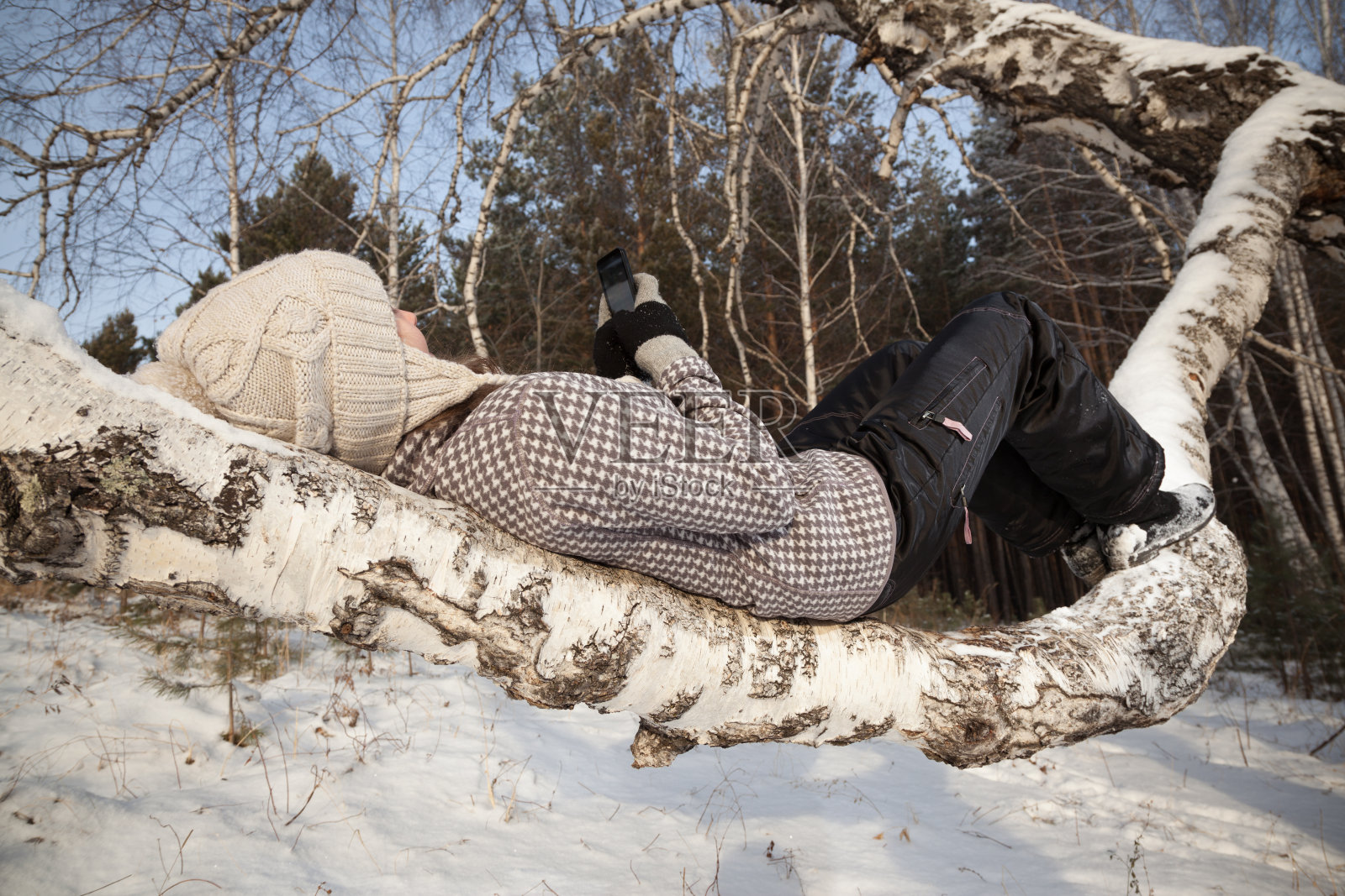 在冬天的树林里休息照片摄影图片
