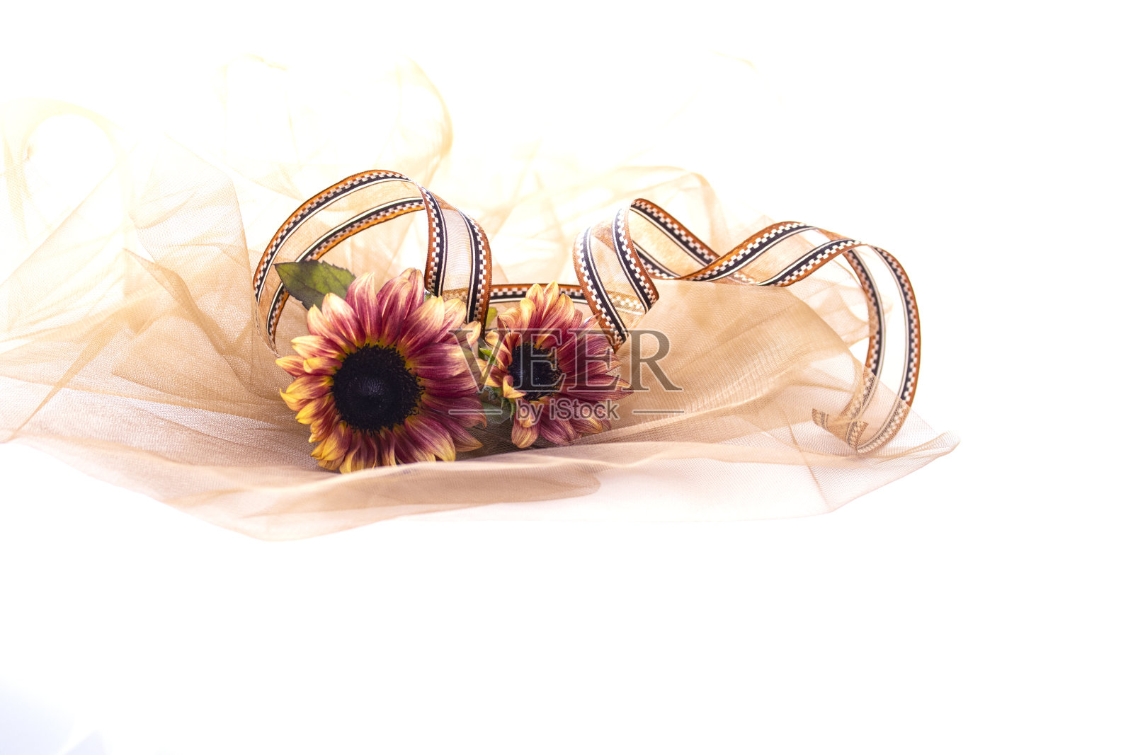 棕色薄纱和棕色向日葵图案照片摄影图片