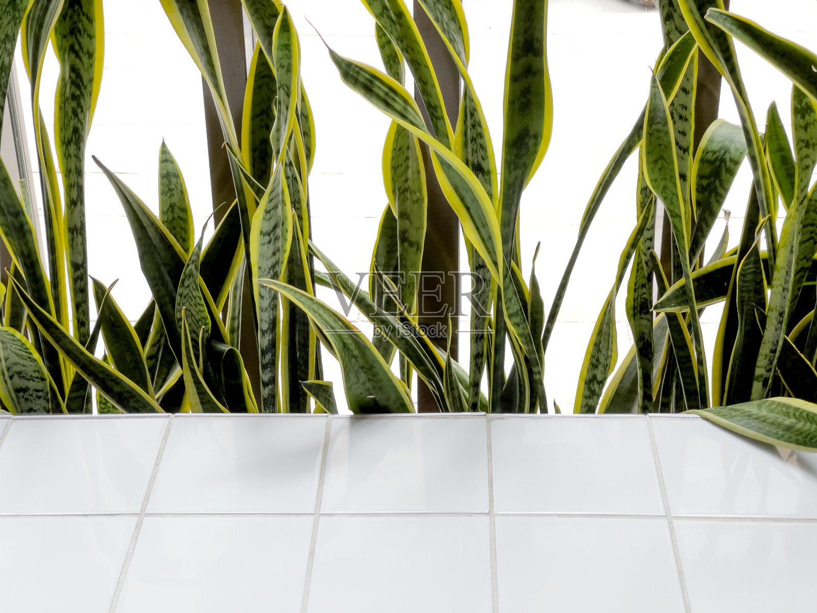 工作空间照片摄影图片