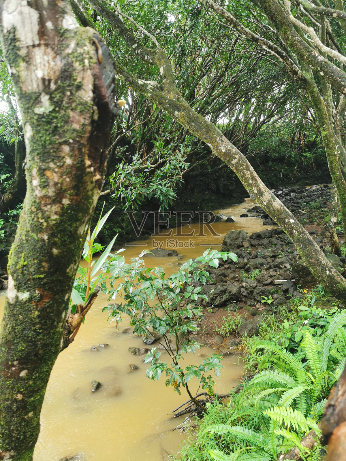 小河流照片摄影图片