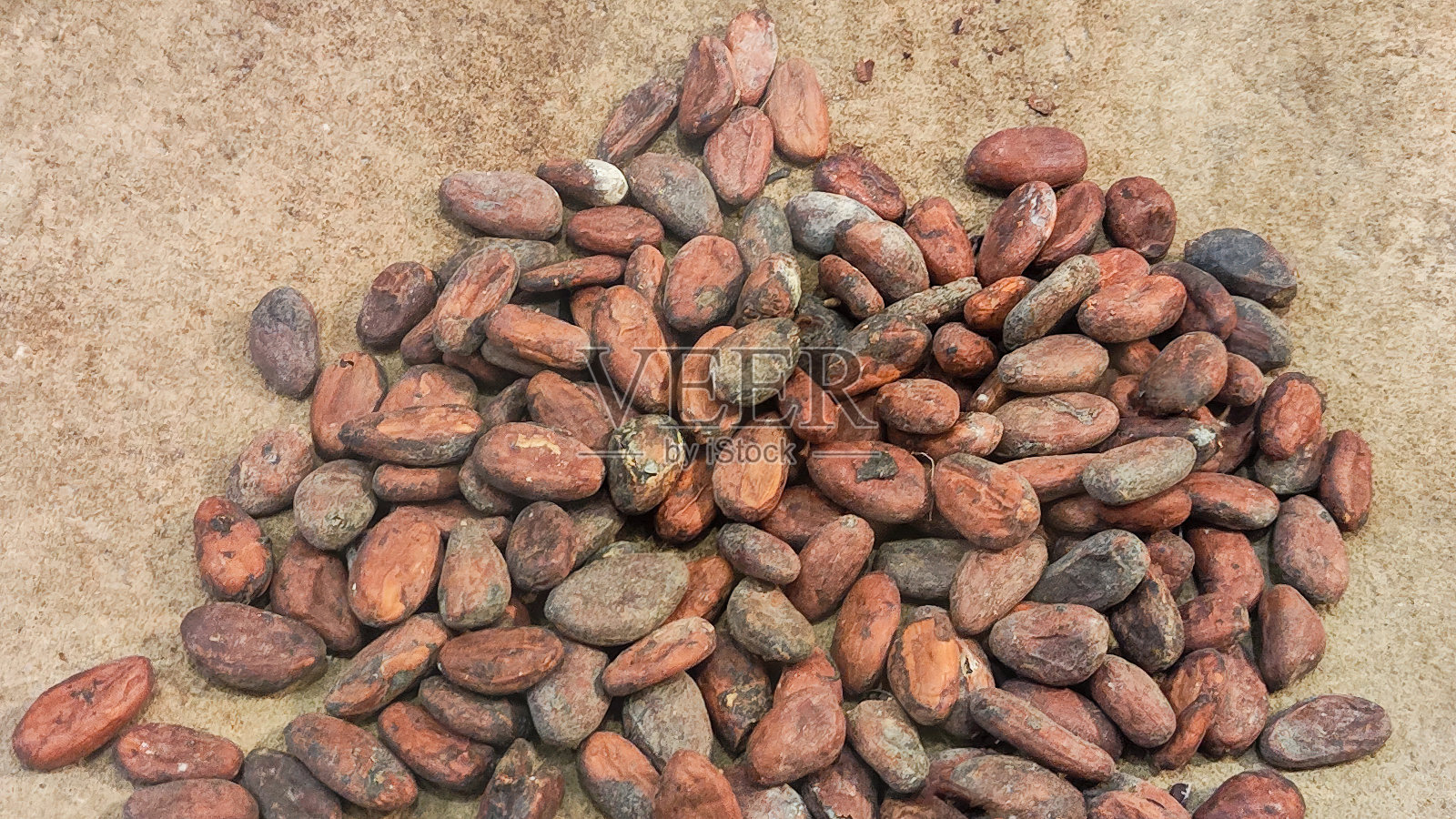 可可豆在织布机上晾晒和使用照片摄影图片