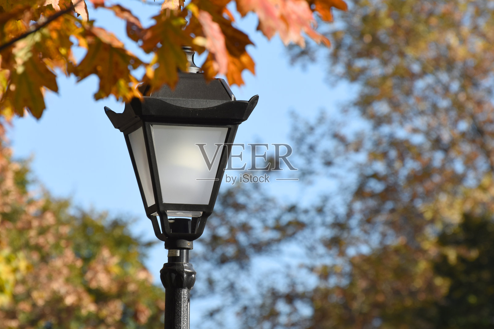 秋天,城市公园里经典的灯笼。关闭了。照片摄影图片