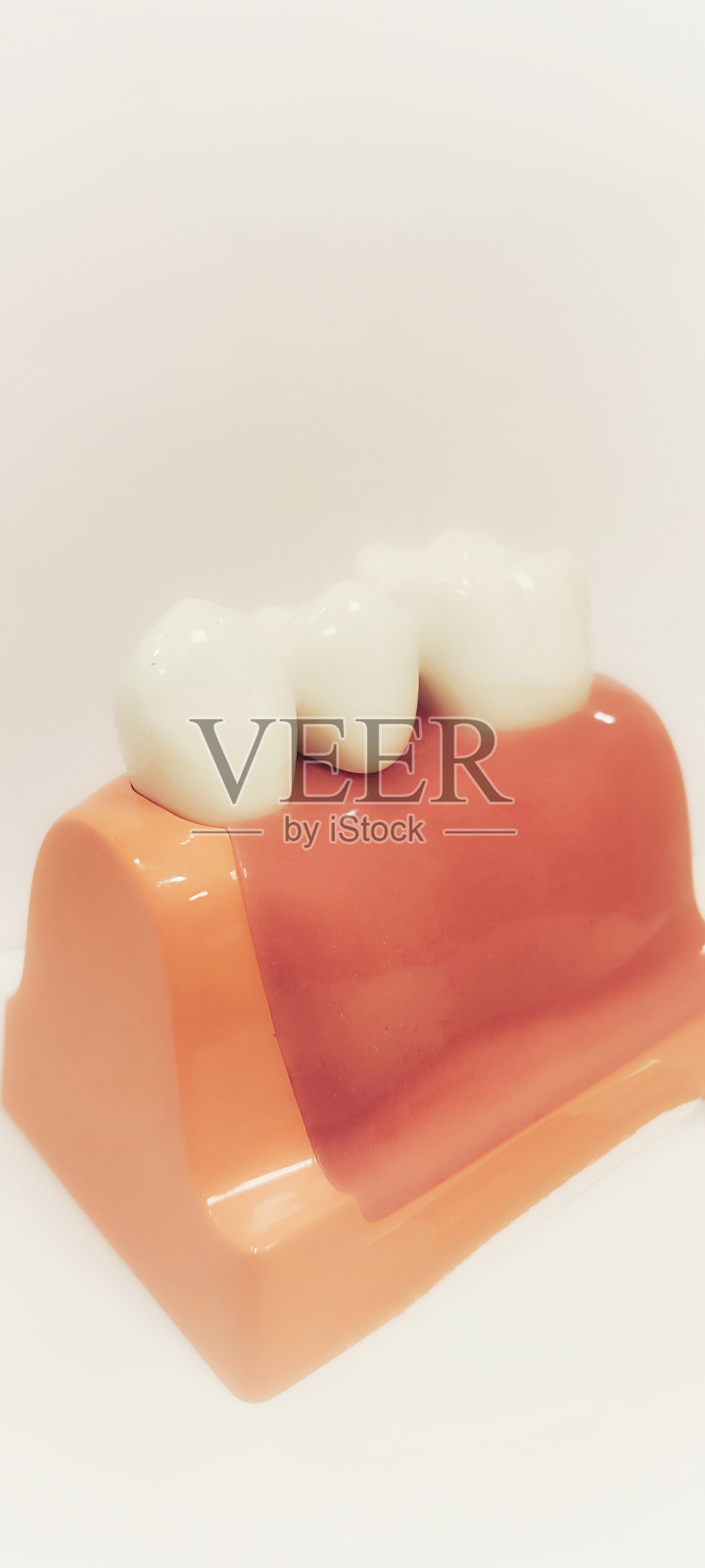 牙科照片摄影图片